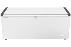 LIEBHERR EFL 6055-21 (weiss) Gefriertruhe