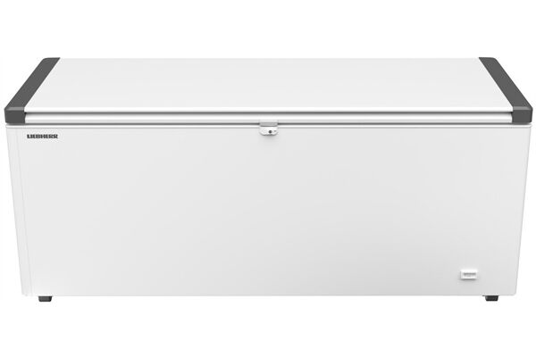 LIEBHERR EFL 6055-21