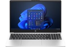 HP 255 G10 (A3DN8ES) (turbo silver) 39,6 cm (15,6") Notebook