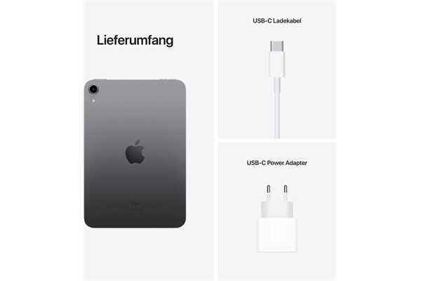 Apple iPad mini (64GB) WiFi MK7M3FD/A 6. Gen