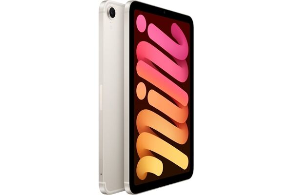 Apple iPad mini (256GB) WiFi + 5G