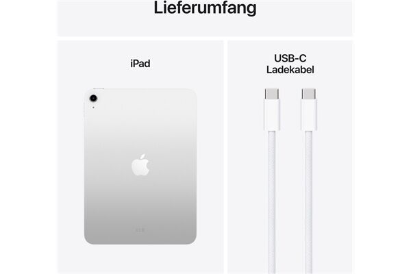 Apple iPad 11" (256GB) WiFi