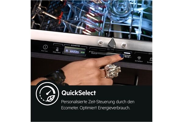 AEG Favorit FSE96808P