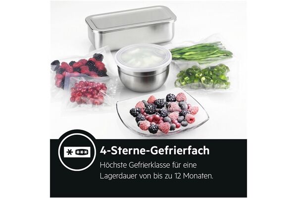 AEG Santo RDB424E1AX