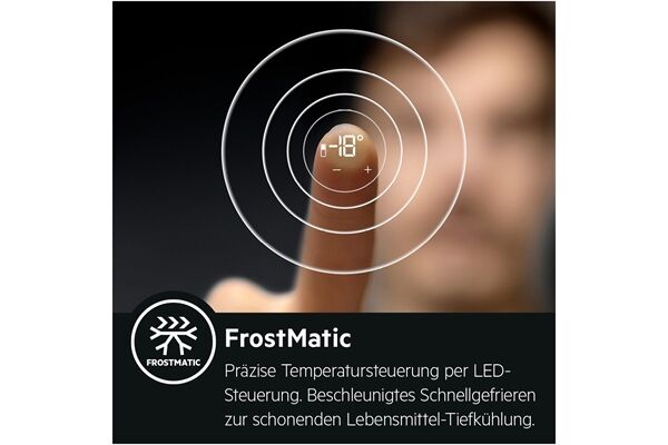 AEG Santo RDB424E1AW