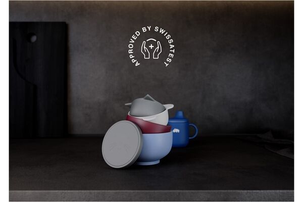 AEG Favorit FES6491XZM