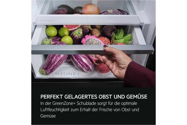 AEG Santo TC9VS181BC