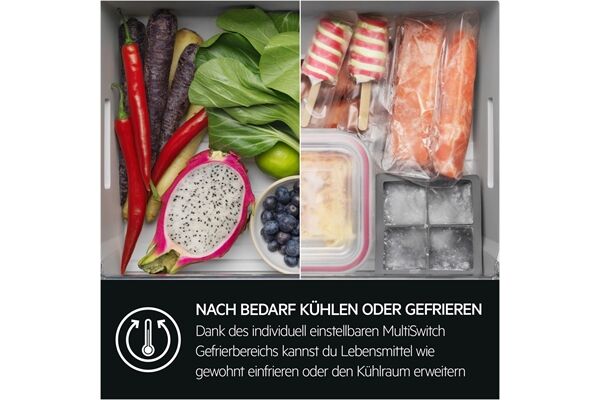 AEG Santo TC9VS181BC