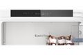 Bosch KIR21VFE0