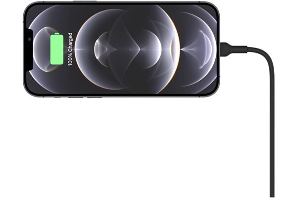 BELKIN BoostCharge Kfz-Ladegerät (10W)
