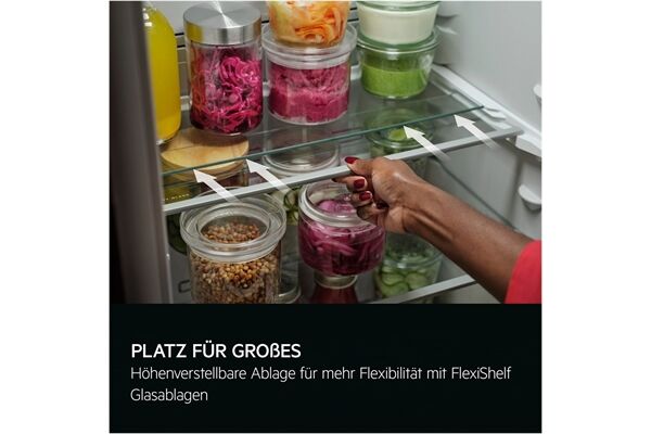 AEG Santo TF5OS882DF