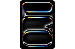 Apple iPad Pro 11" (256GB) WiFi (space schwarz) Tablet