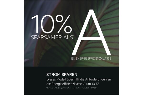 AEG Lavamat LR7G60487 B-Ware