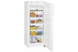LIEBHERR GNP 2343-eu (weiß) Gefrierschrank