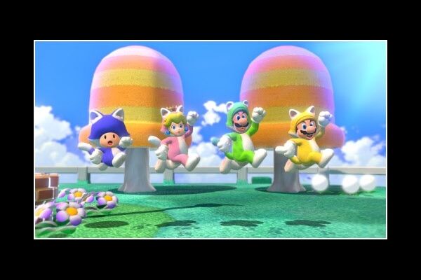 Nintendo Super Mario 3D/Super Mario 3D World+Bowser(Switch)