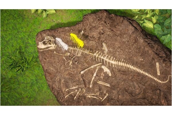 Nintendo Switch: Dinosaurs: Mission Dino Camp(Switch)