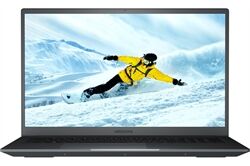 Medion Akoya P17615 (MD61097) (grau) 43,9 cm (17,3") Notebook