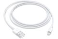 Apple Lightning auf USB Kabel (1m)
