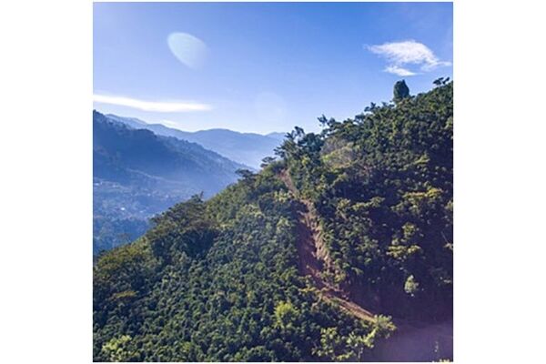 DeLonghi EN 167.B Nespresso CitiZ