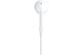 Apple EarPods (Lightning)